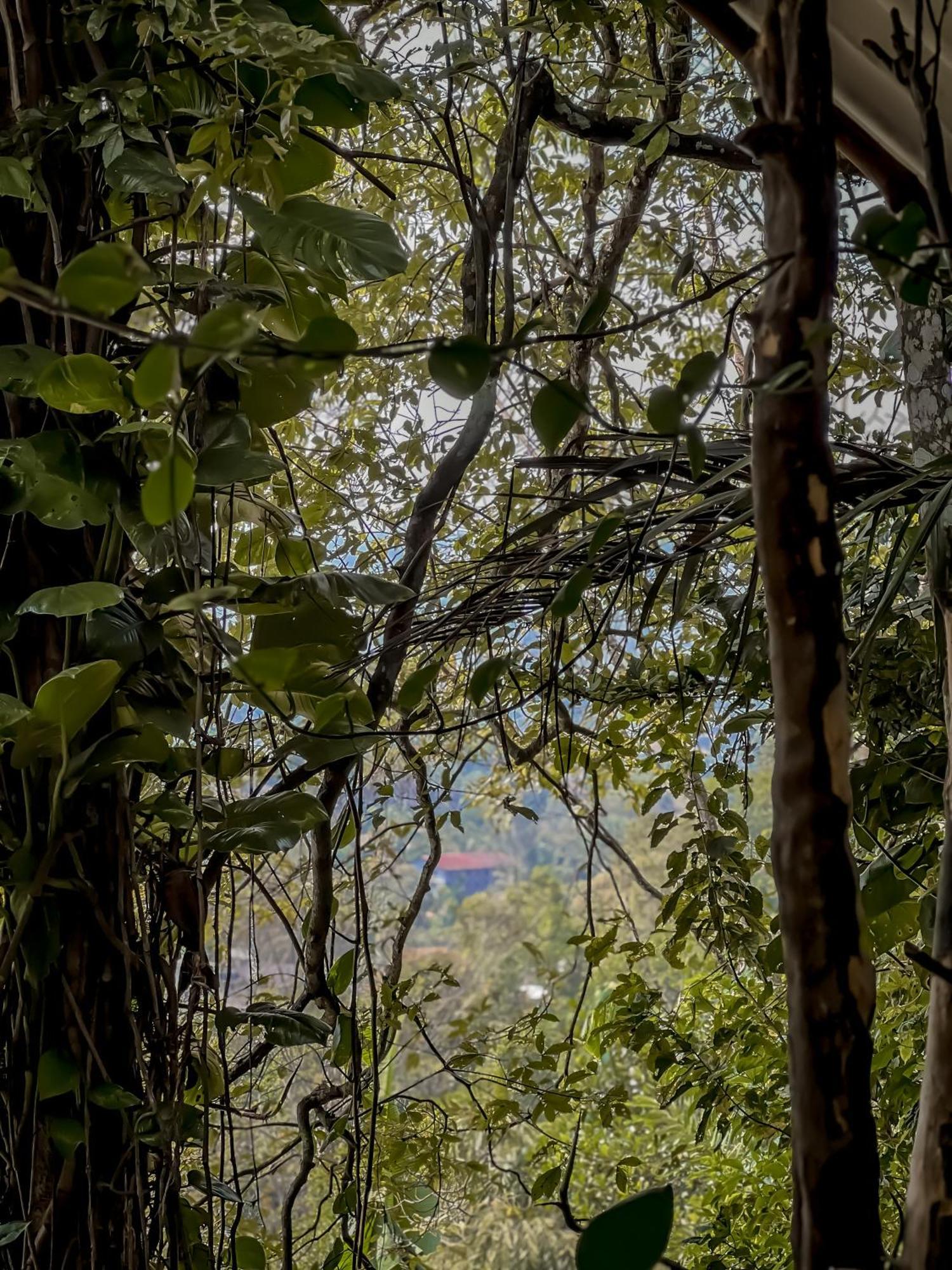 Secret Mountain Paradise Ела Екстериор снимка